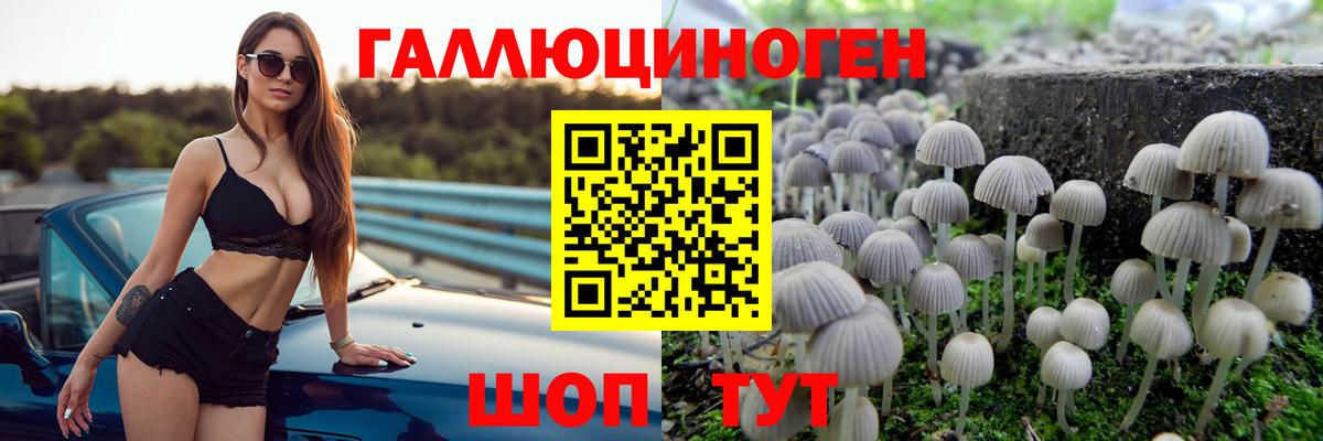 Волоколамск  Галлюциногенные грибы MAGIC MUSHROOMS  Вход с VPN  Галлюциногенные грибы GOLDEN TEACHER 
